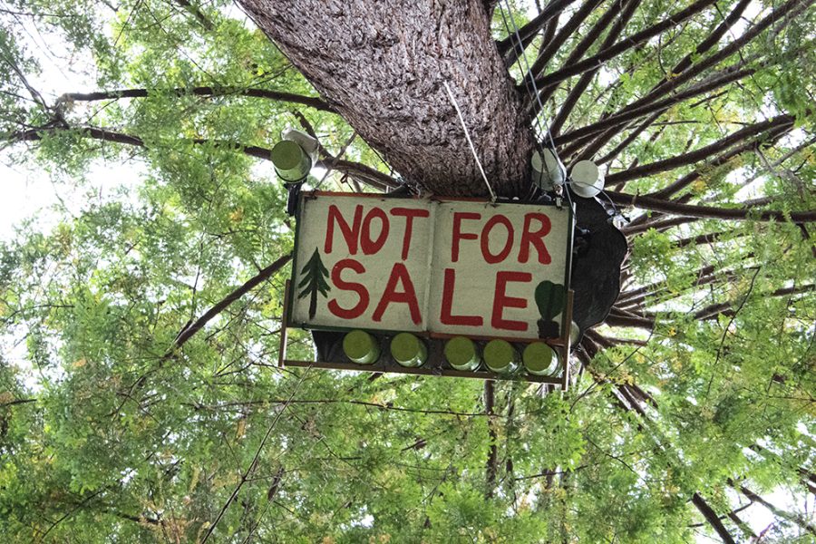 A platform high in a tree with Not for sale painted on the underside in red letters.