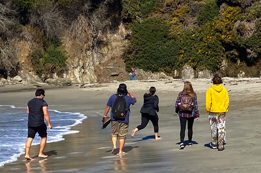 Students running along a beach in Fort Bragg.