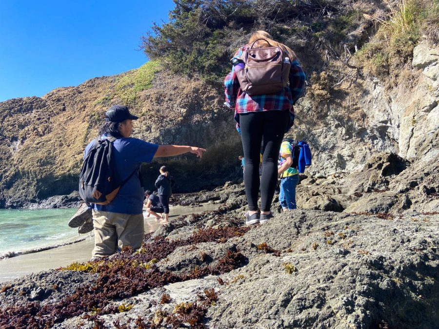 Students climbing rocky outcroppings along a beach in Fort Bragg.