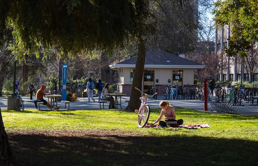 Students relaxing on campus as spring begins to bloom at Chico State. Photo taken by Ava Norgrove on Jan. 25 