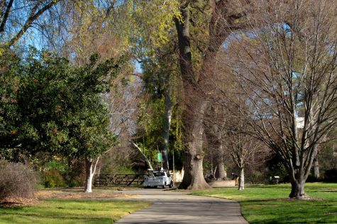Maintenance workers working on an empty Chico State campus the Friday before Spring Break. 