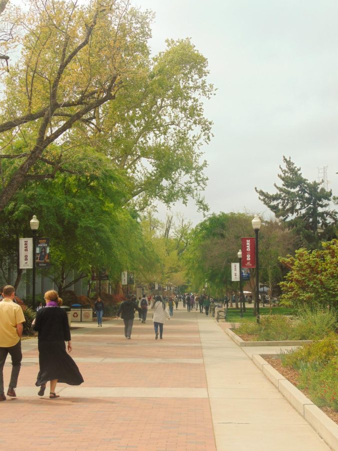 Students and faculty passing along campus on March 29.