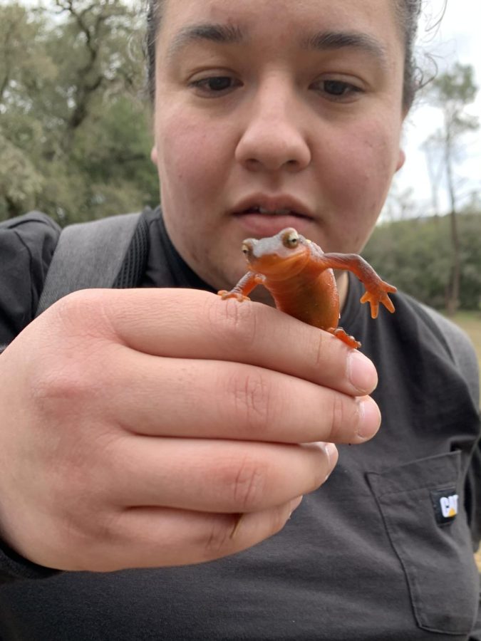 Student holding newt. Photo taken by Gabriela Rudolph on March 5.