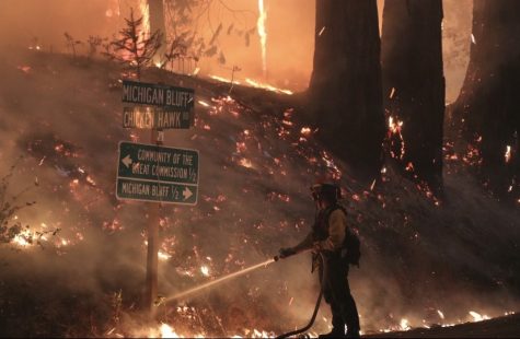 A firefighter suppresses fire near a road sign, 9/7/2022. Photo by Michael Steinberg.