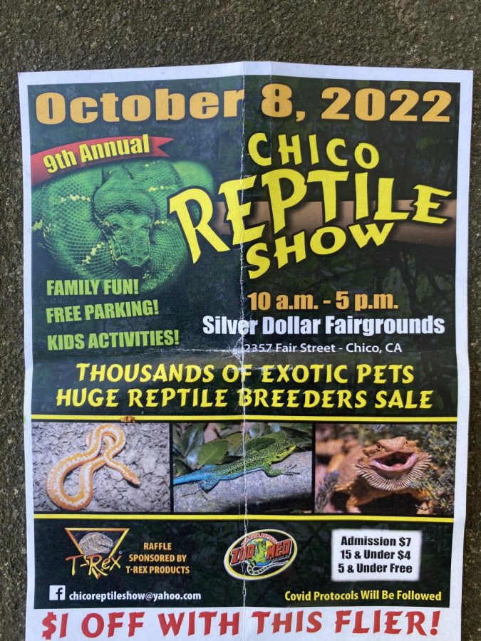 Chico Reptile Show Flier. 