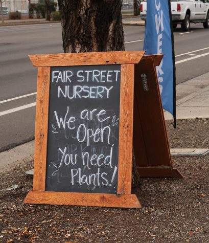A chalkboard placard sign reading "Fair Street Nursery: We are Open. You need plants!"