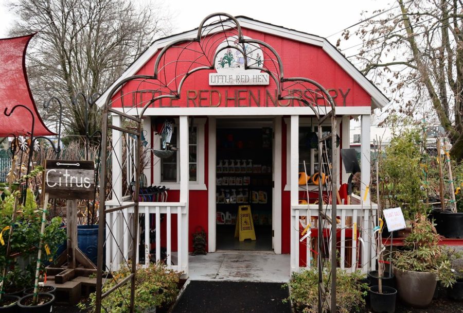 A red barn style shed with a sign reading "Little Red Hen Nursery." Around it are plants and an archway.