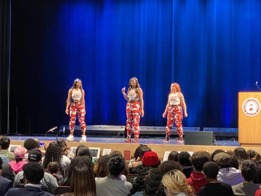 Sorority Delta Sigma Theta performs a dance routine on stage.