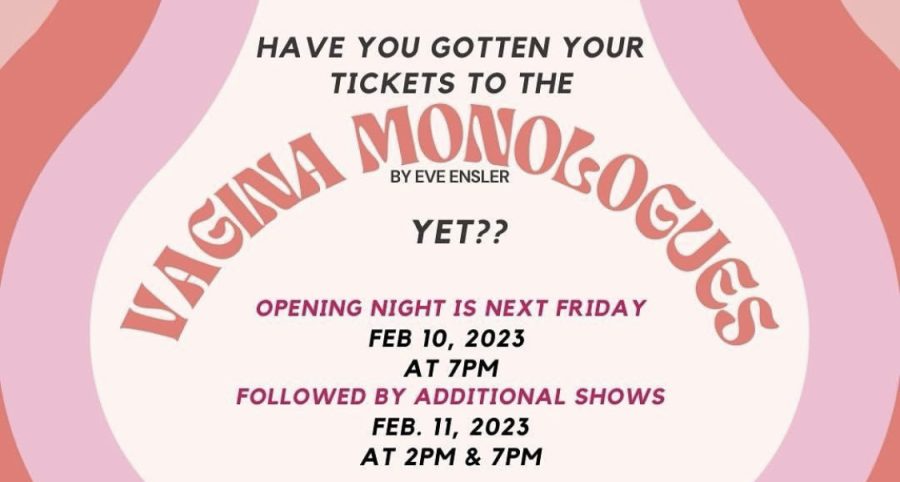 Vagina+Monologues%3A+Empowering+vagina-owners+of+all+identities