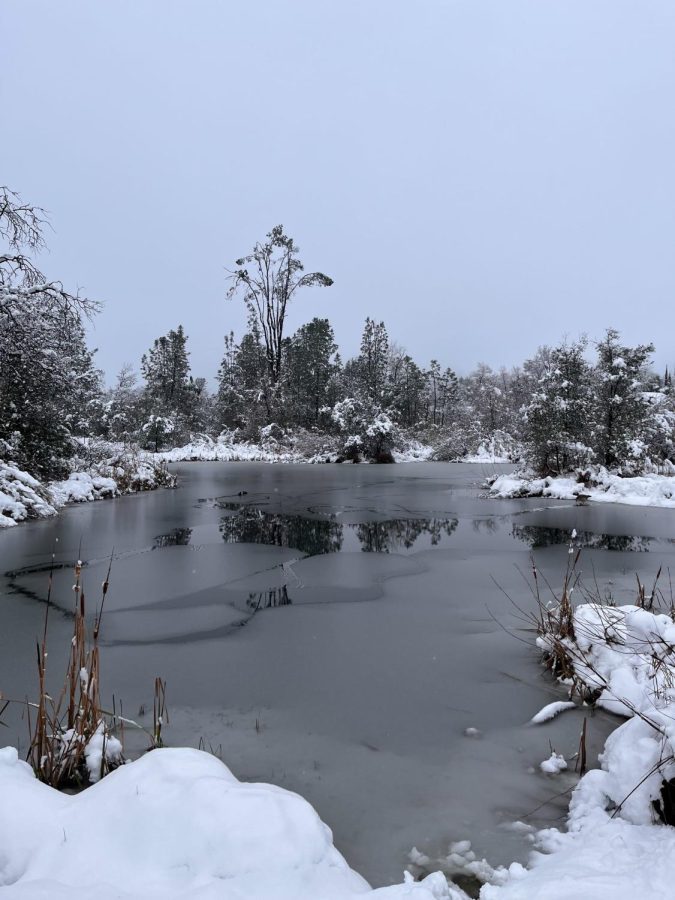 Photo of a partly frozen Mary Lake in Redding, CA, after the winter storm. Photo by Timothy Adams, taken Feb. 24.