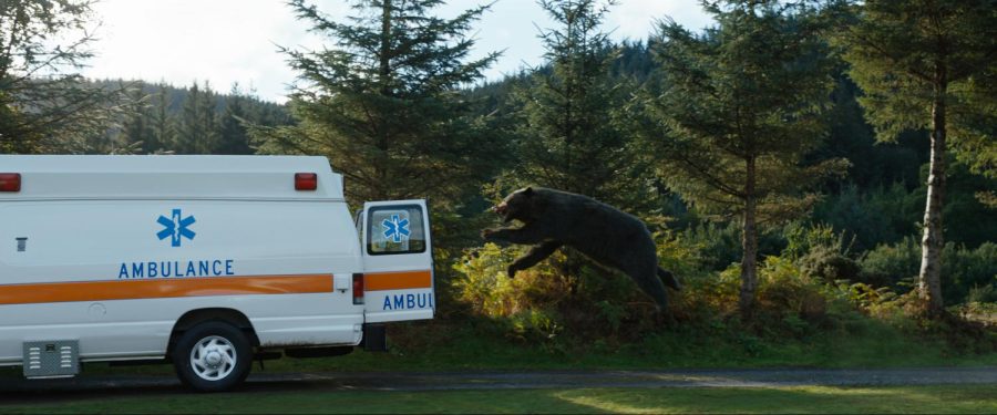 bear+jumping+into+an+ambulance