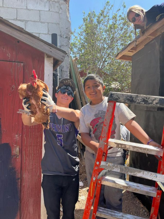 Murphy proudly holding his befriended chicken as they build and restore houses in Tijuana, Mexico. Photo submitted by Jojo Murphy.