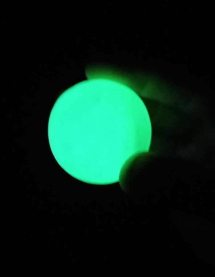 Glow in the dark rock, purchased at Paradise Gem and Mineral Show in 2022.