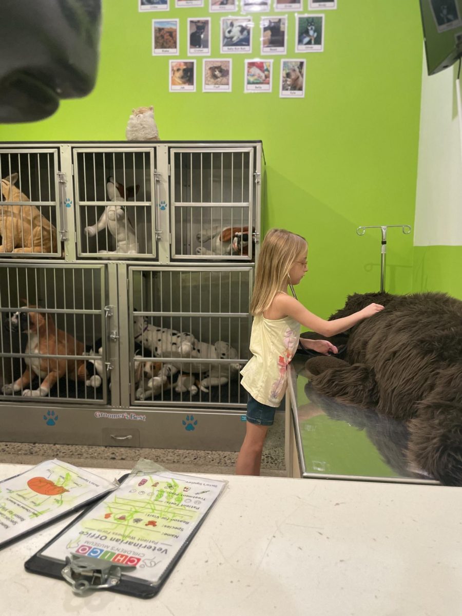 Photo of child petting dog at Chico Childrens Museum veterinarians office exhibit. Photo taken August by Chico Childrens Museum director, Jessica Melear. 