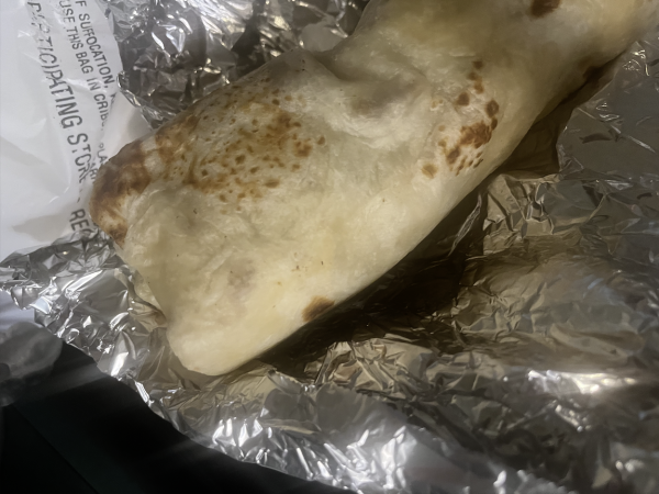 mi taquito grill's regular burrito