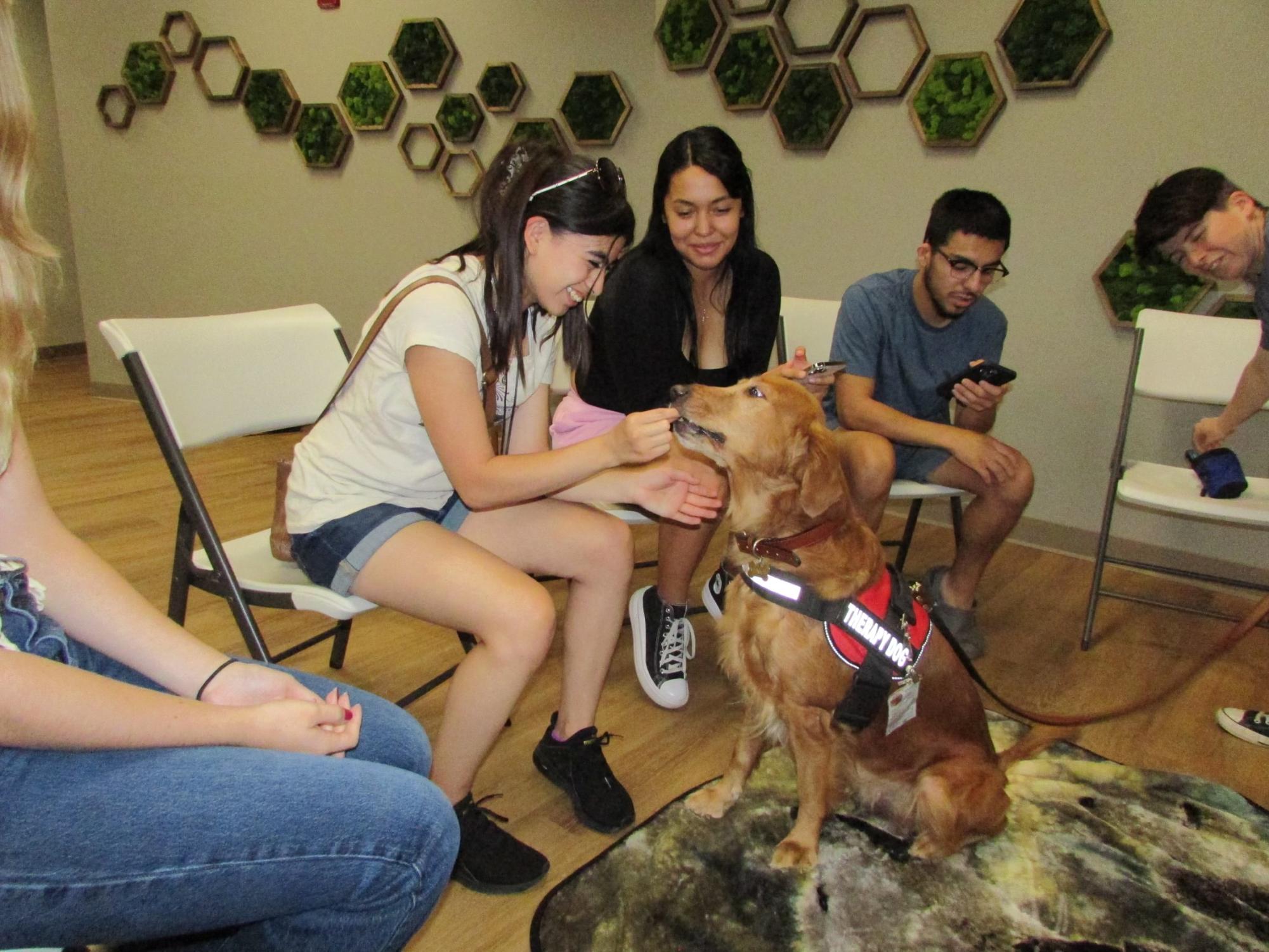 Chico State student gives treat to dog. Taken by Natalia Cortez-Pagan on Sept.13
