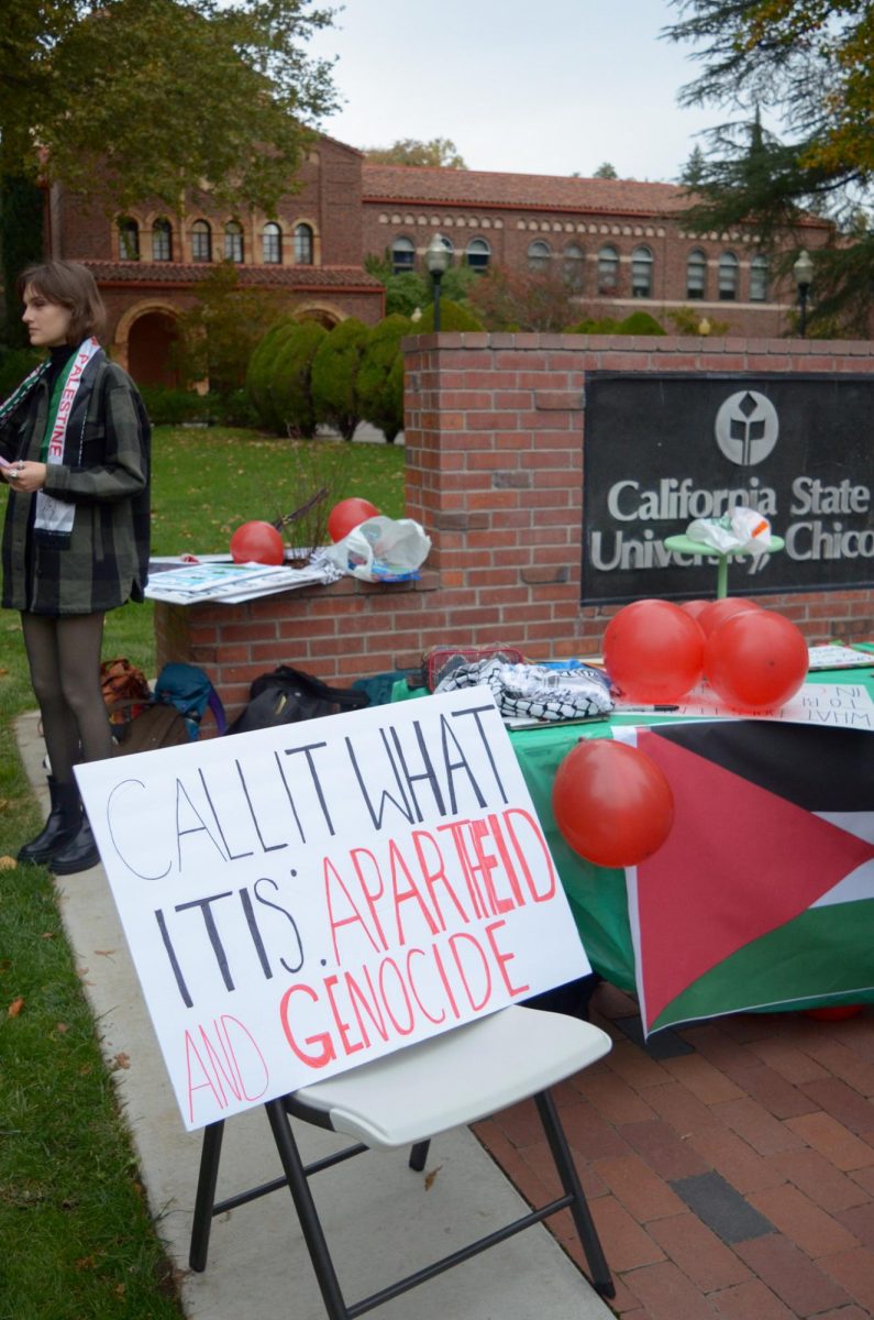 A table with resources talking about Palestine sits in front of Kendall Hall along with a sign that reads Call it what it is: apartheid and genocide. Photo taken at the Walkout for Cease-fire. 