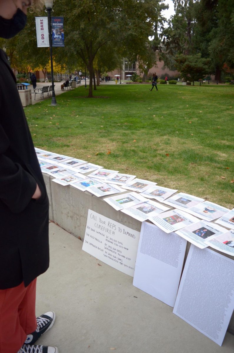 Students stop to read pages displayed on the sidewalk.