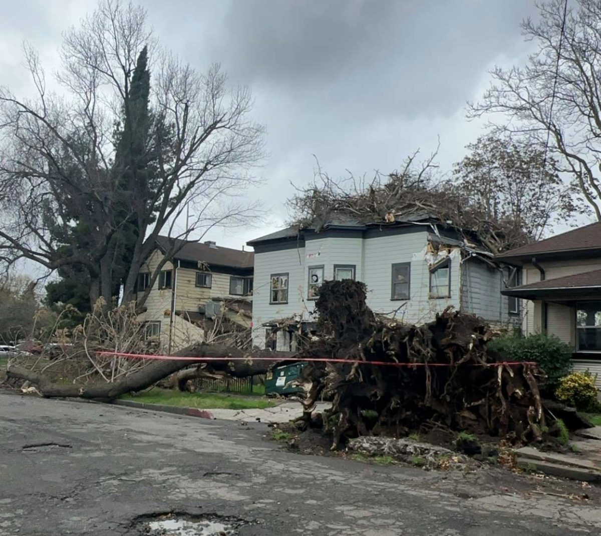 A fallen tree damaged a house by the corner of Fourth and Ivy Streets on Feb 5th.
