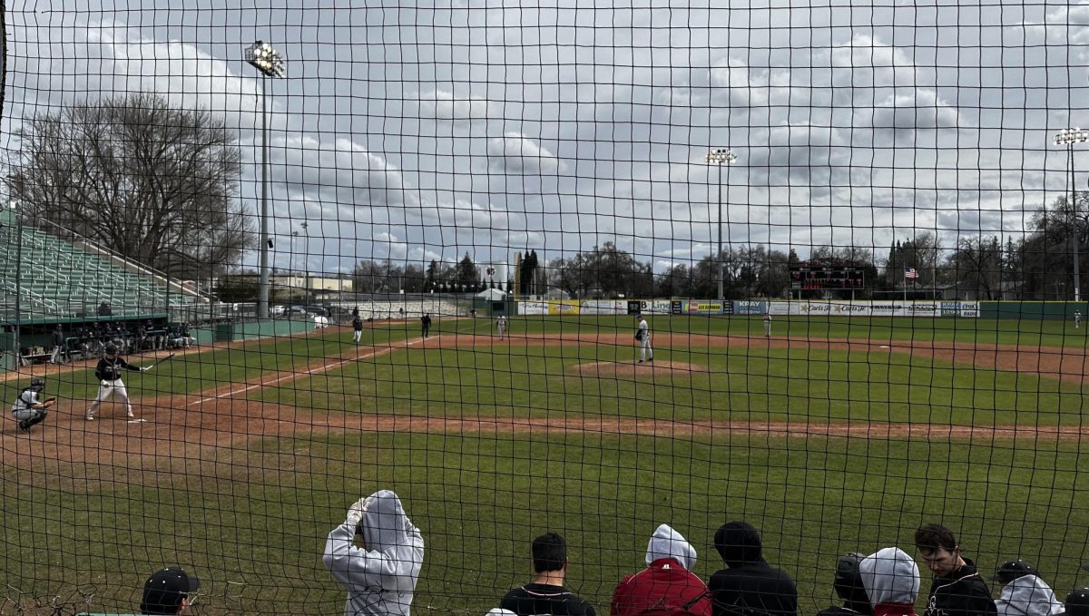 Chico State junior Daniel Vierra at the plate for the Wildcats against San Francisco State Gators. Taken on March 4 by Lukas Mann.