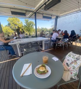 Students socializing and study at Stoble on Sept. 15, 2023 in Chico, Calif. This coffee shop has four floors including the rooftop patio.