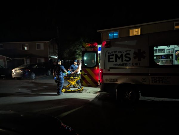 A person on a stretcher is loaded into an ambulance. Taken by Callum Standish at 9 p.m. March 17.