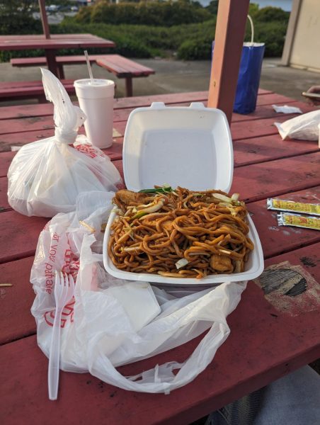 Plate of chow mein