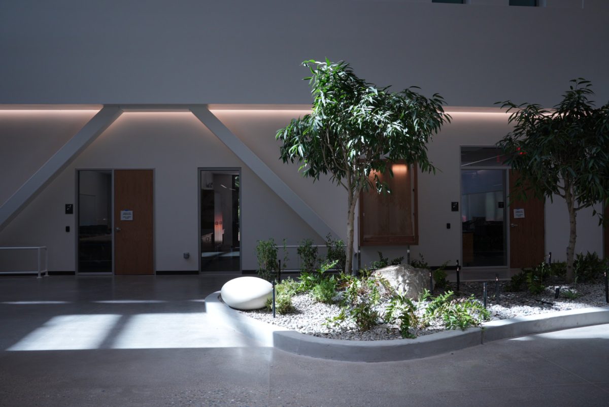 An indoor garden pictured on the first floor of the behavioral and social sciences building Tuesday Aug. 27, 2024 in Chico, California.