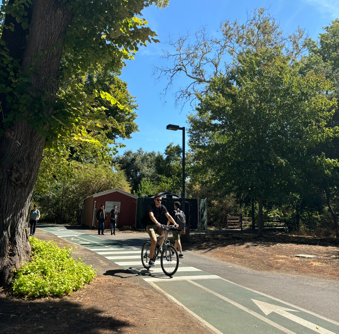 A biker on the bike path through Chico State between Butte Hall and Big Chico Creek. Taken by Sophia MacKinnon.