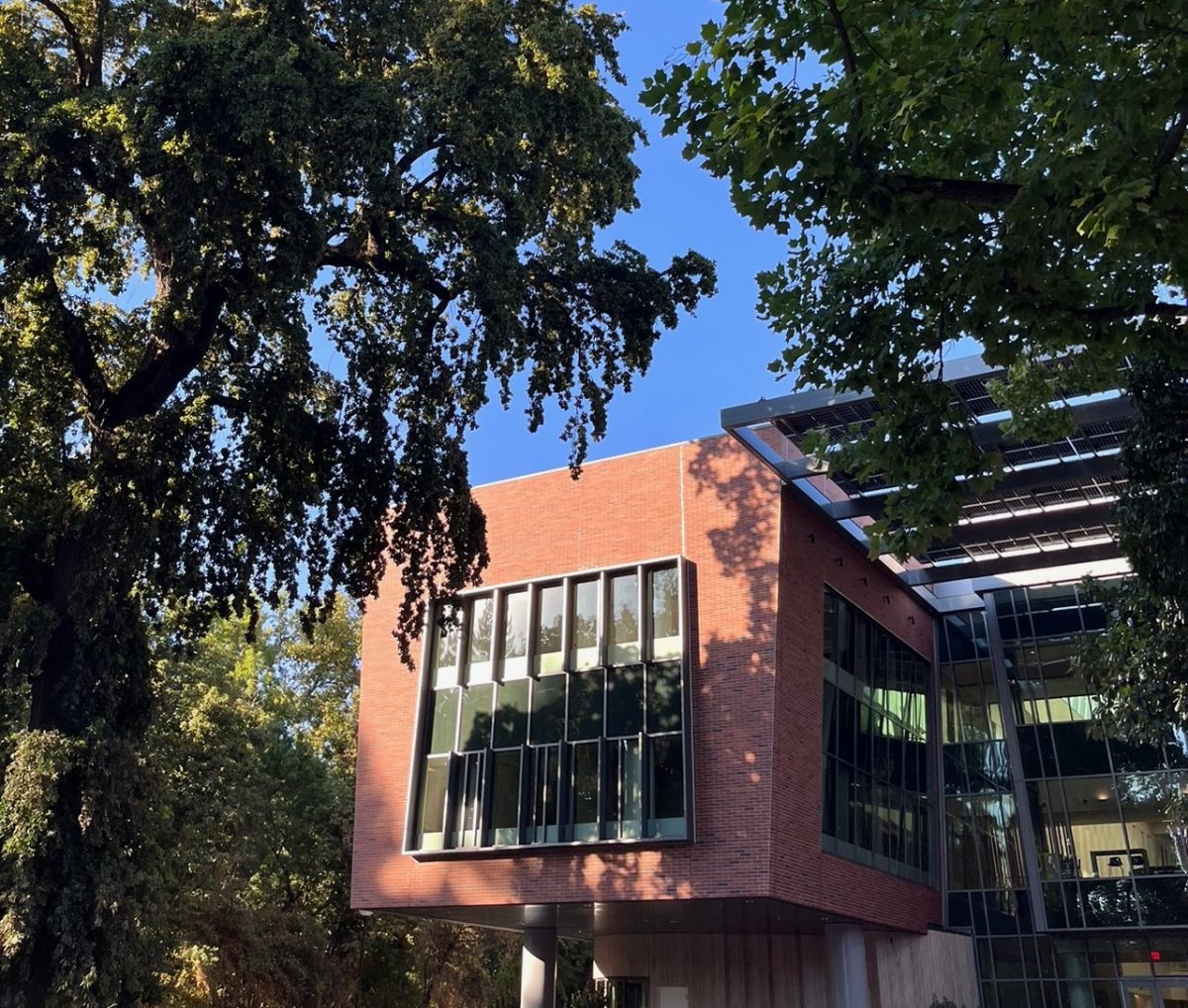 The new College of Behavioral and Social Sciences building, the first net-zero building at Chico State located on 230 West First St. Taken by Bea Williams on Aug. 28