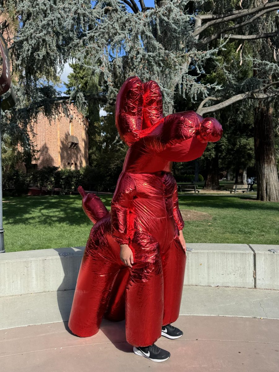 Danny Alvarez poses in his costume on Oct. 31. Photo taken by Megan Gauer 