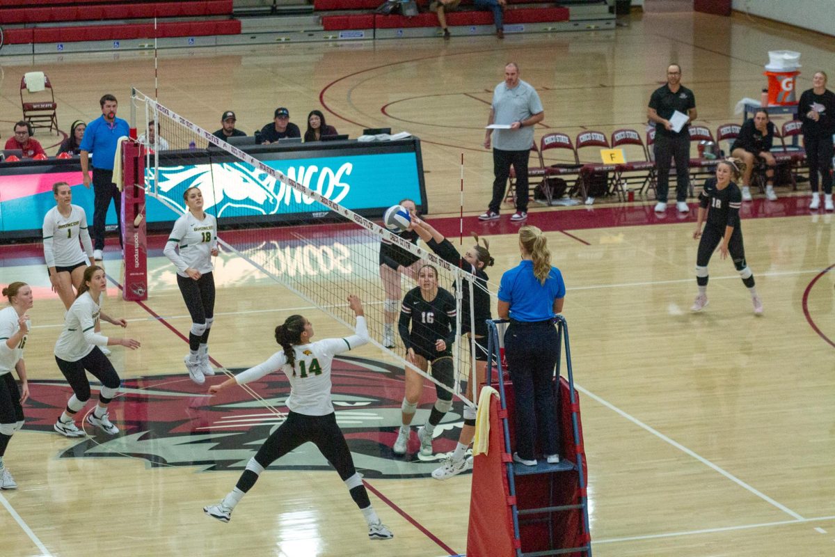 Chico State player jumps to block a ball hit over the net by a Cal Poly Pomona player on Oct. 26 taken by Jenna McMahon. 