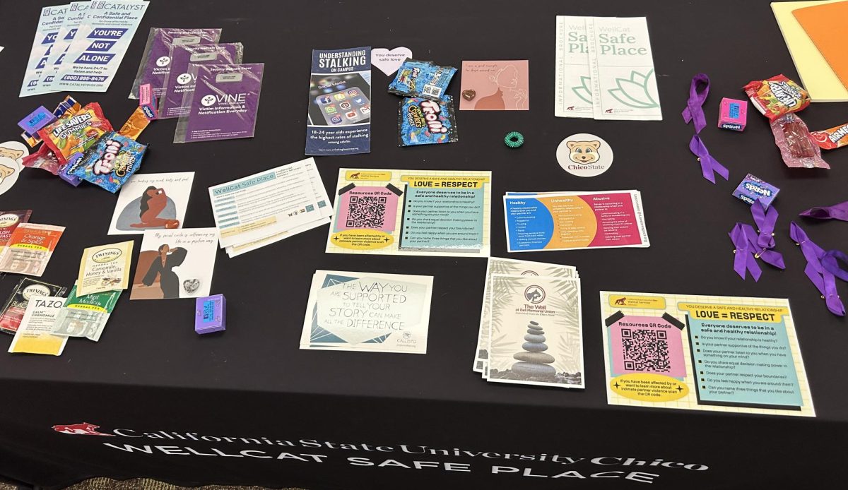 The WellCat Safe Place table included flyers, brochures, candies and words of affirmation cards. Photo taken by Rebecca Gonzalez on Oct. 10