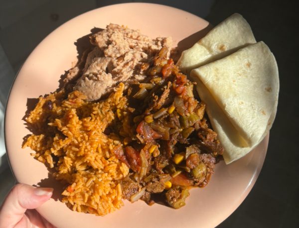 Plated fajitas made of ingredients from the Wildcat Food Pantry, Dollar Tree and Safeway. Photo taken by Sophia MacKinnon on Nov. 4. 