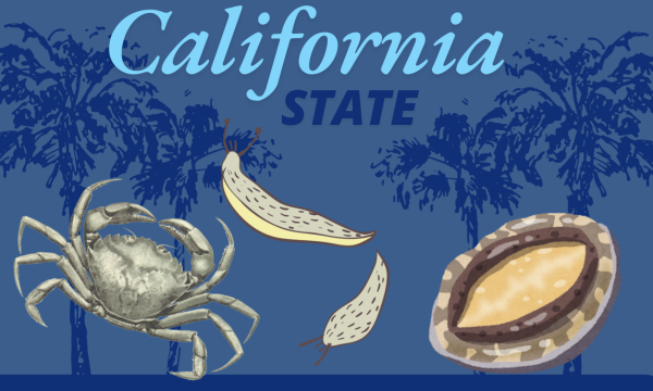 With the passing of new legislation from Governor Gavin Newsom, the banana slug, black abalone and Dungeness crab are official symbols of California. Graphic created by Jessica Miller on Oct. 29.
