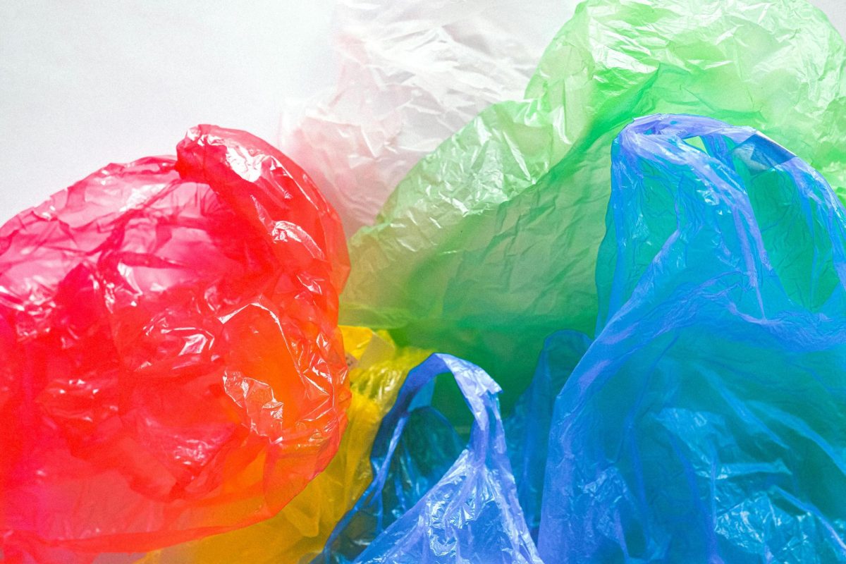 Governor Gavin Newson signed Senate Bill 1053 into law on Oct. 20, that will ban stores from selling plastic bags. Photo by Anna Shvets on Pexels.