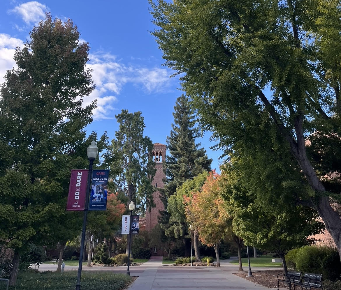 All California State Universities have an updated Time Place Manner Policy. Chico State’s has been in effect all of fall semester.  Photo taken by Bea Williams on Oct. 28.