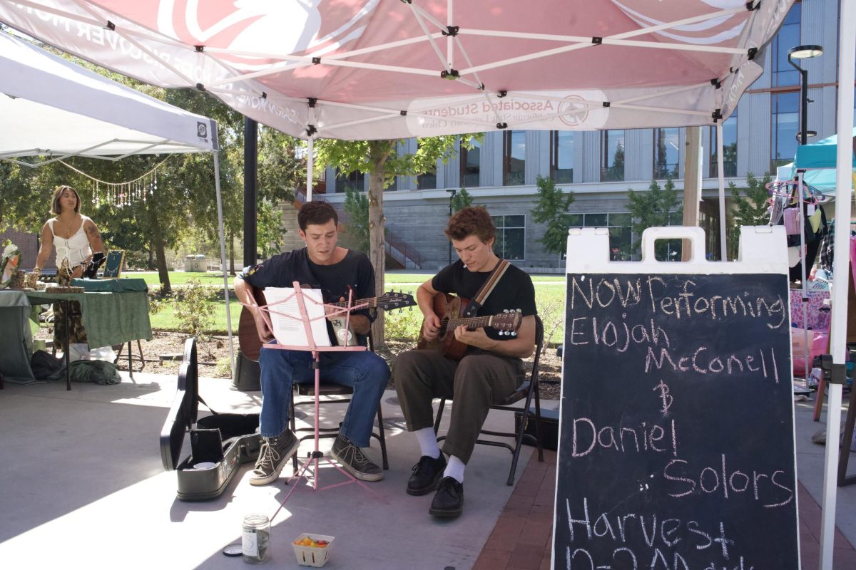 Elijah McConell and Daniel Solors dueted on acoustic guitars, bringing a mellow ambiance to the market. Photo taken on Sept. 22. 