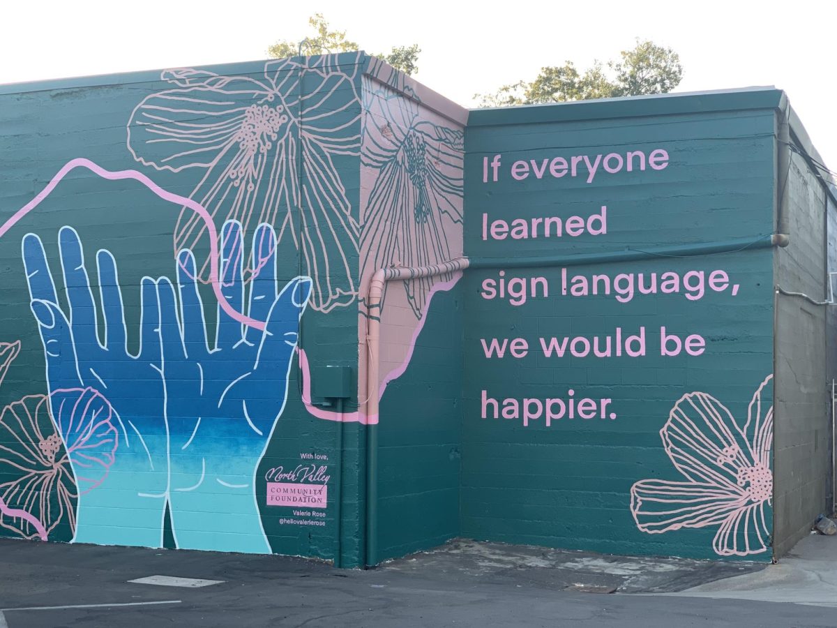 This mural was painted by Valerie Rose and can be found in Downtown Chico. Photo courtesy of Valerie Rose.