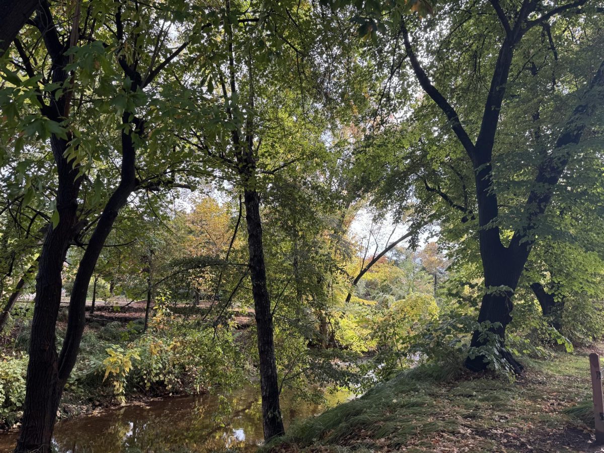 A tree survey is performed every three years, with the next occurring late this year or early next year, according to Randy Southhall, associate vice president of facilities and capital projects. Photo taken by Chris Hutton on Nov. 4, 2025.