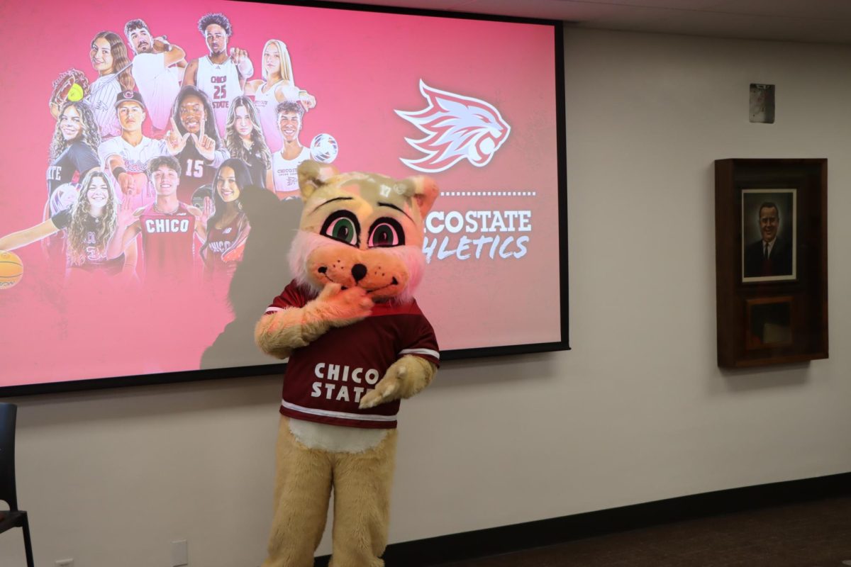 Willie the Wildcat at Wildcat Insider event taken by Cody Rowan, February 26, 2026
