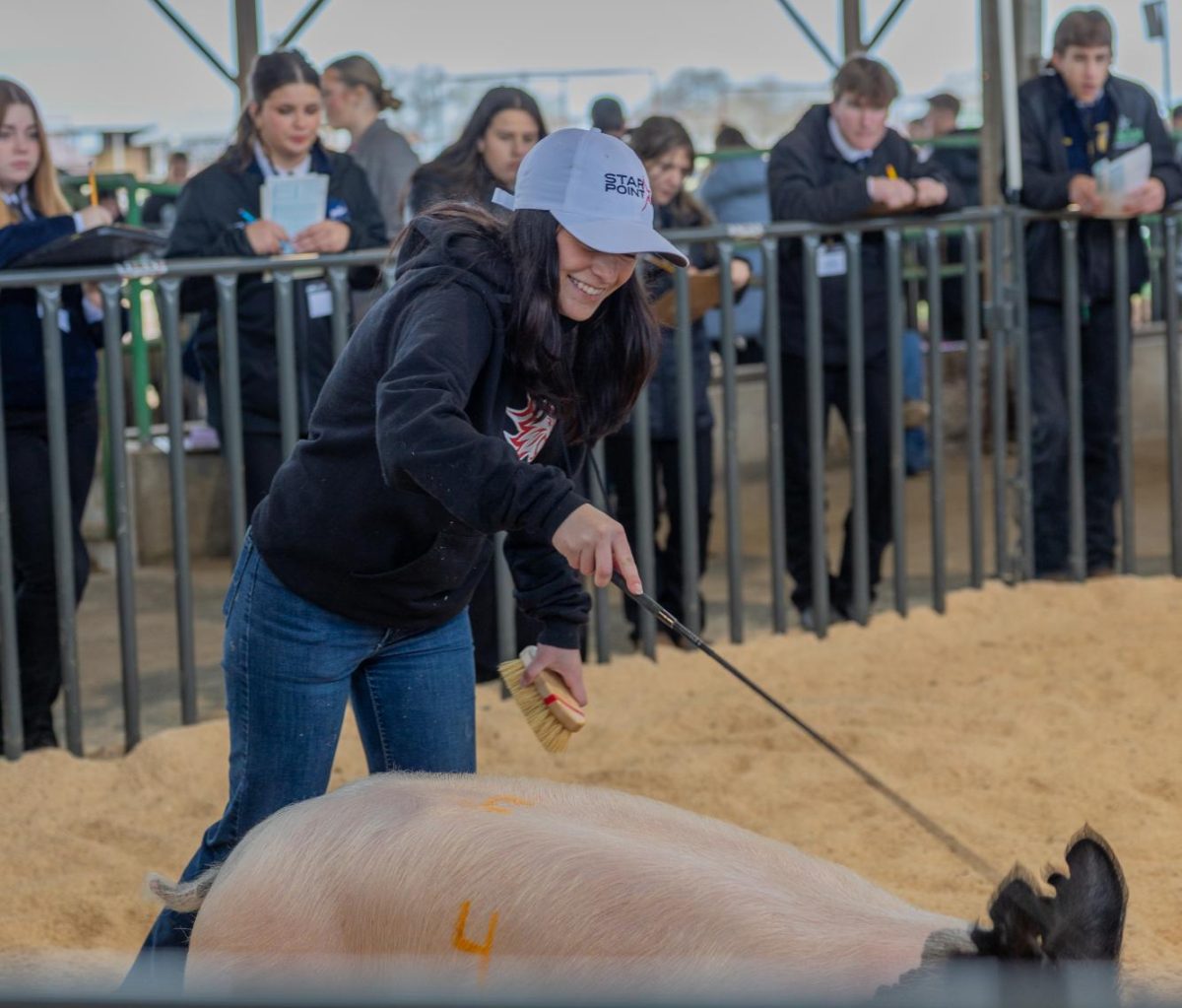 Lauren Lawlor at FFA Field Day at University Farm in the beef barn. Photo taken by Fernando Orozco Feb. 21, 2026.